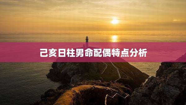 己亥日柱男命配偶特点分析