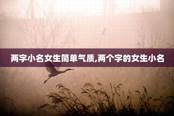两字小名女生简单气质,两个字的女生小名