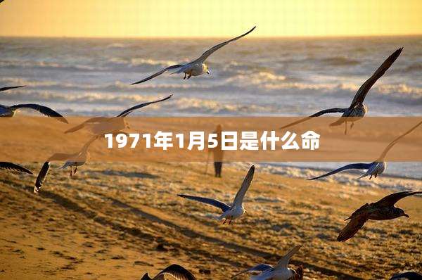 1971年1月5日是什么命