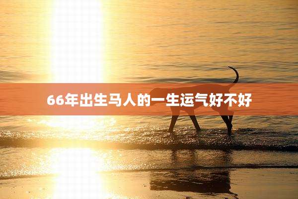 66年出生马人的一生运气好不好