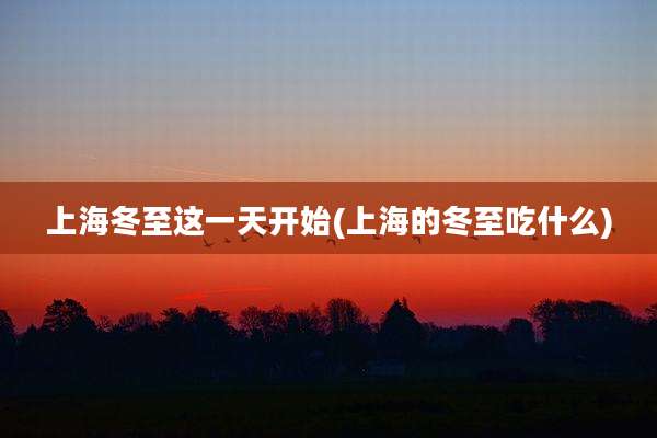 上海冬至这一天开始(上海的冬至吃什么)