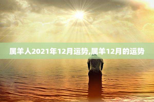 属羊人2021年12月运势,属羊12月的运势