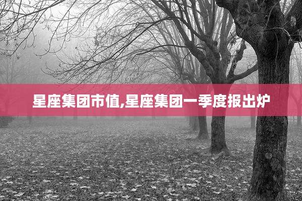 星座集团市值,星座集团一季度报出炉