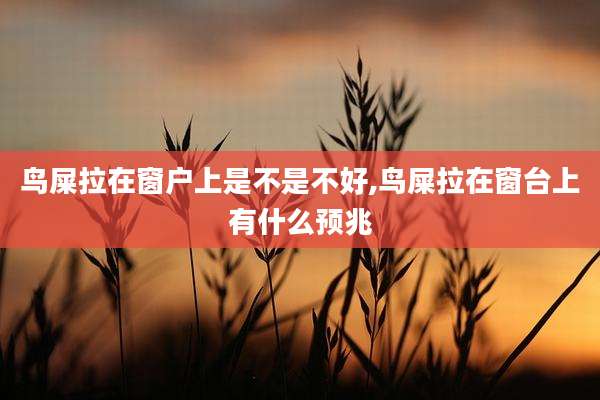 鸟屎拉在窗户上是不是不好,鸟屎拉在窗台上有什么预兆