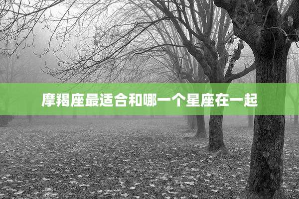 摩羯座最适合和哪一个星座在一起