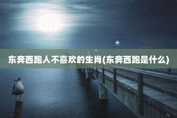 东奔西跑人不喜欢的生肖(东奔西跑是什么)