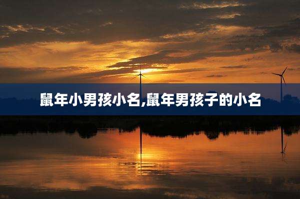 鼠年小男孩小名,鼠年男孩子的小名