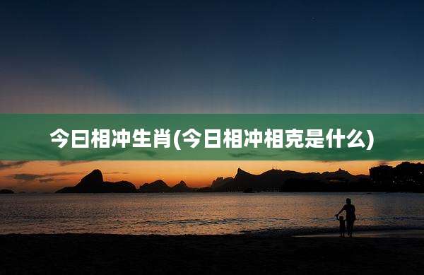 今曰相冲生肖(今日相冲相克是什么)
