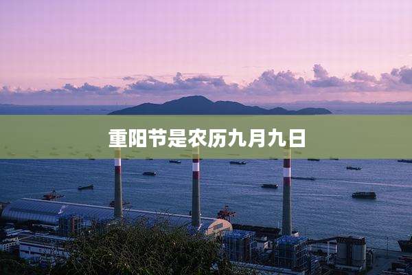 重阳节是农历九月九日
