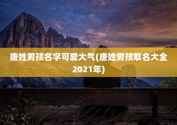 唐姓男孩名字可爱大气(唐姓男孩取名大全2021年)