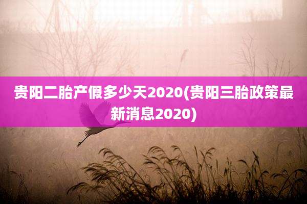 贵阳二胎产假多少天2020(贵阳三胎政策最新消息2020)