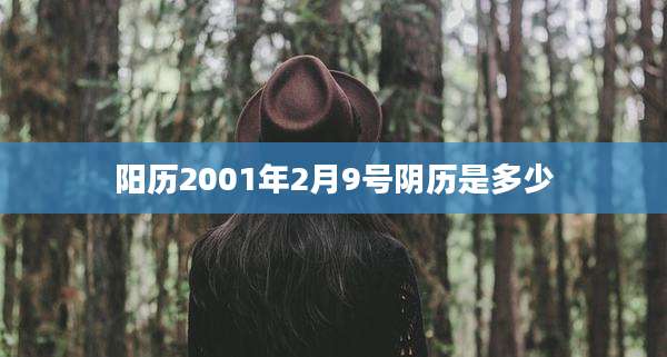 阳历2001年2月9号阴历是多少