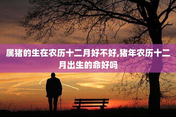 属猪的生在农历十二月好不好,猪年农历十二月出生的命好吗