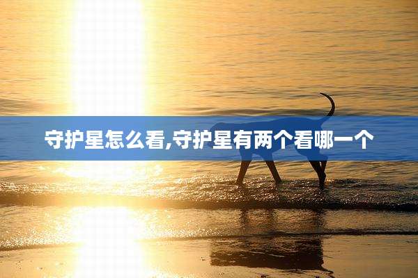 守护星怎么看,守护星有两个看哪一个