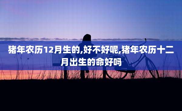 猪年农历12月生的,好不好呢,猪年农历十二月出生的命好吗