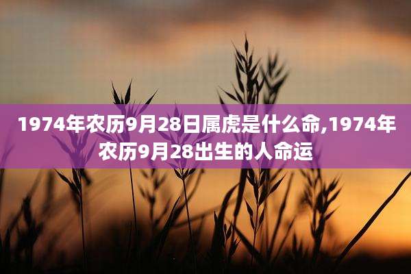1974年农历9月28日属虎是什么命,1974年农历9月28出生的人命运