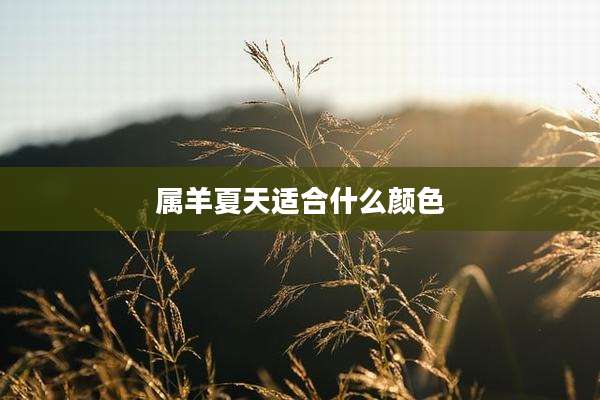 属羊夏天适合什么颜色