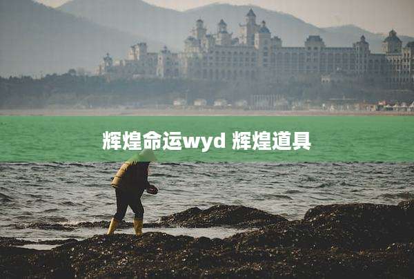 辉煌命运wyd 辉煌道具
