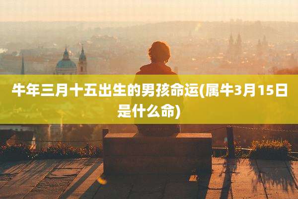 牛年三月十五出生的男孩命运(属牛3月15日是什么命)