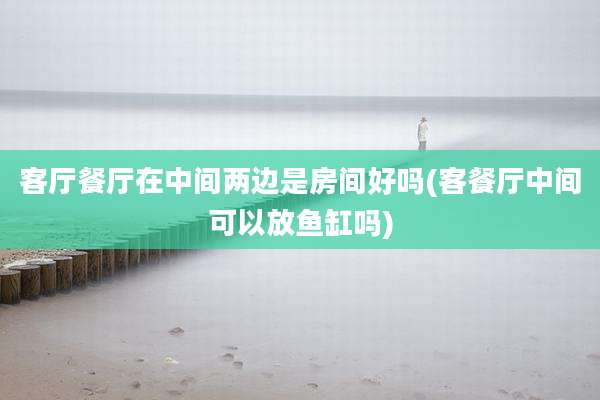 客厅餐厅在中间两边是房间好吗(客餐厅中间可以放鱼缸吗)