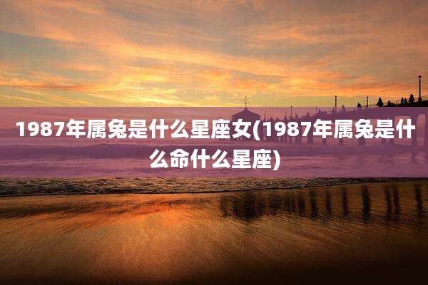 1987年属兔是什么星座女(1987年属兔是什么命什么星座)