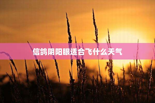 信鸽阴阳眼适合飞什么天气