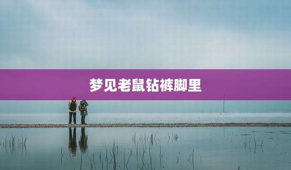 梦见老鼠钻裤脚里