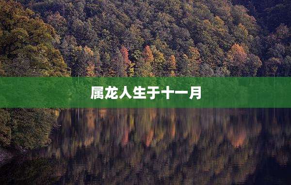 属龙人生于十一月