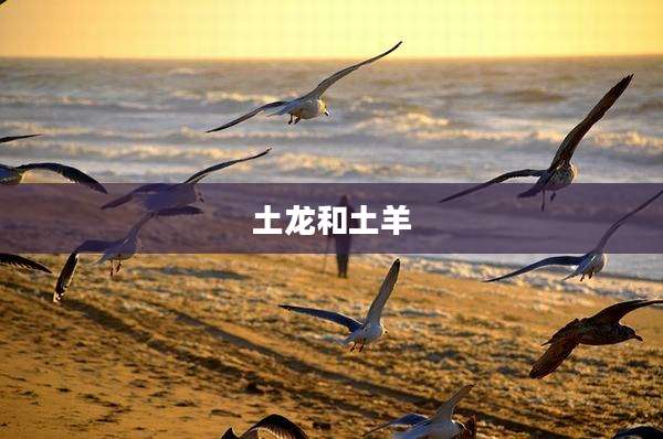 土龙和土羊