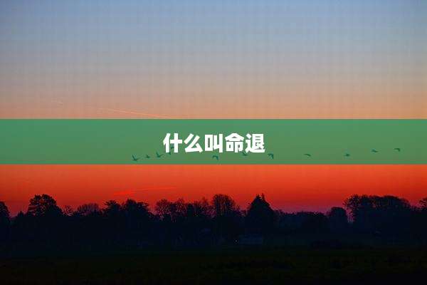 什么叫命退