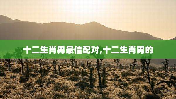 十二生肖男最佳配对,十二生肖男的