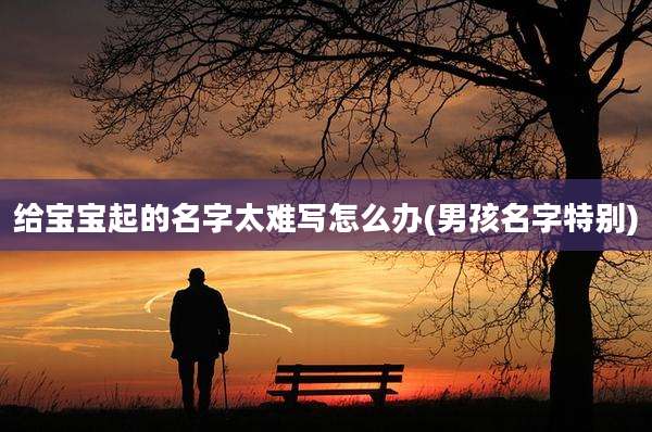给宝宝起的名字太难写怎么办(男孩名字特别)