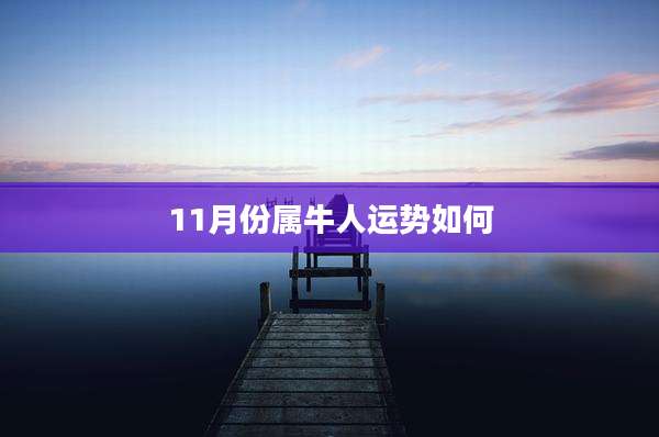 11月份属牛人运势如何