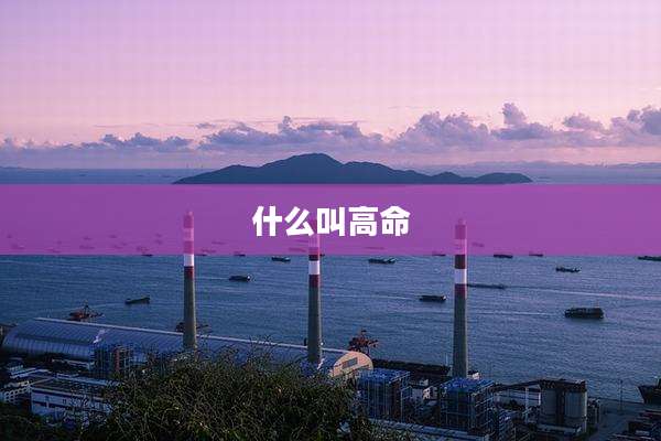 什么叫高命