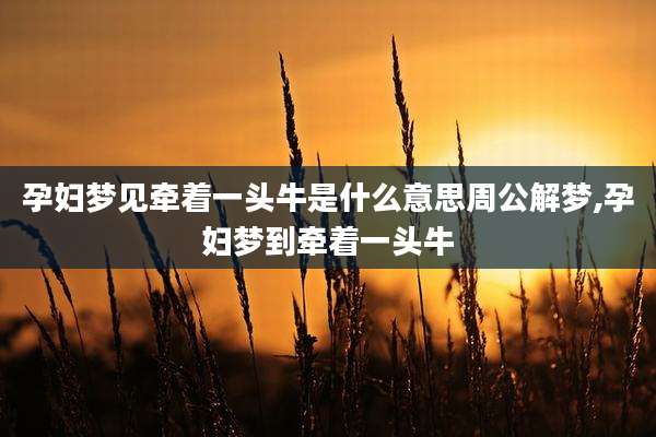孕妇梦见牵着一头牛是什么意思周公解梦,孕妇梦到牵着一头牛