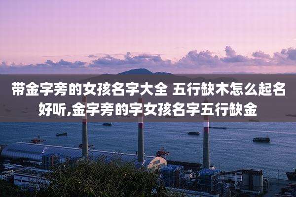 带金字旁的女孩名字大全 五行缺木怎么起名好听,金字旁的字女孩名字五行缺金