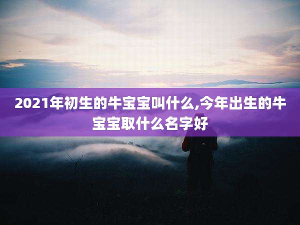 2021年初生的牛宝宝叫什么,今年出生的牛宝宝取什么名字好