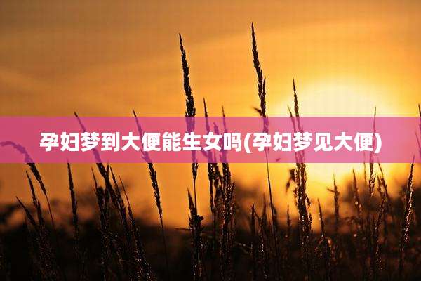孕妇梦到大便能生女吗(孕妇梦见大便)