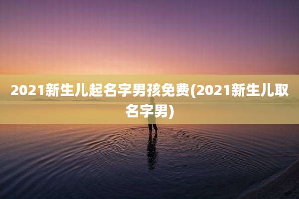 2021新生儿起名字男孩免费(2021新生儿取名字男)