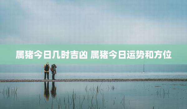 属猪今日几时吉凶 属猪今日运势和方位