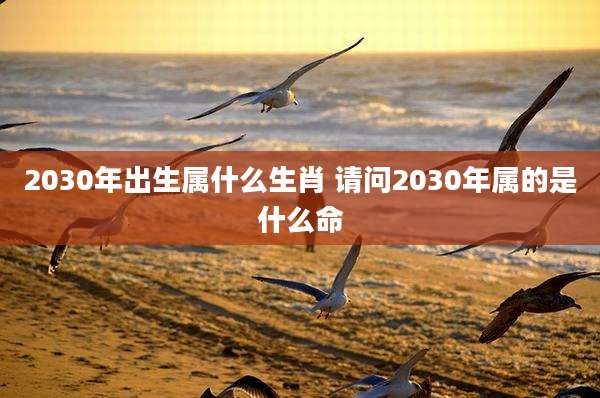 2030年出生属什么生肖 请问2030年属的是什么命