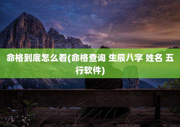命格到底怎么看(命格查询 生辰八字 姓名 五行软件)