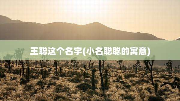 王聪这个名字(小名聪聪的寓意)