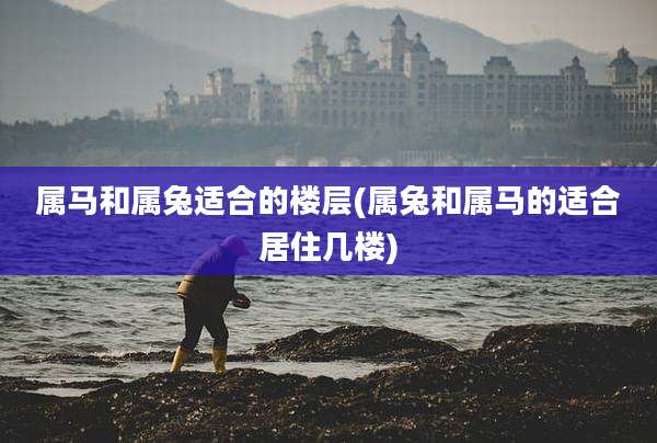 属马和属兔适合的楼层(属兔和属马的适合居住几楼)