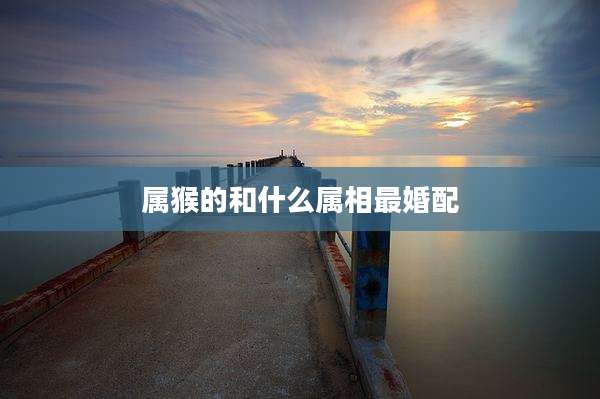 属猴的和什么属相最婚配
