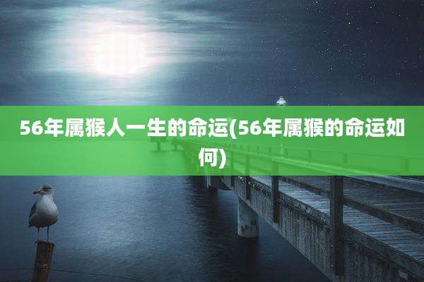 56年属猴人一生的命运(56年属猴的命运如何)