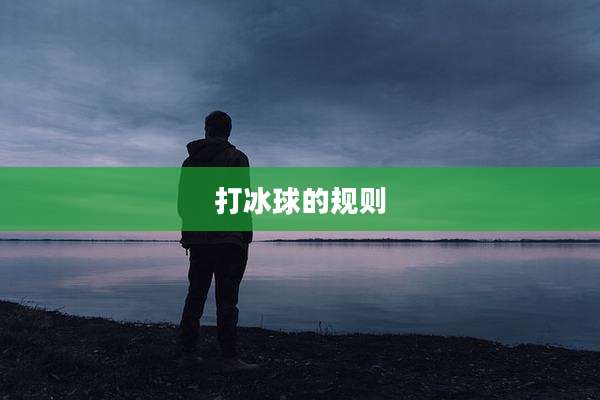 打冰球的规则