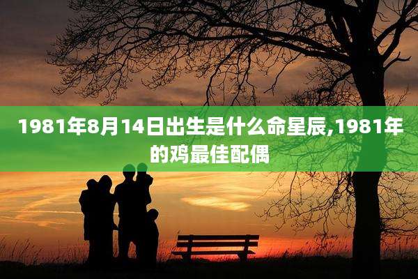 1981年8月14日出生是什么命星辰,1981年的鸡最佳配偶