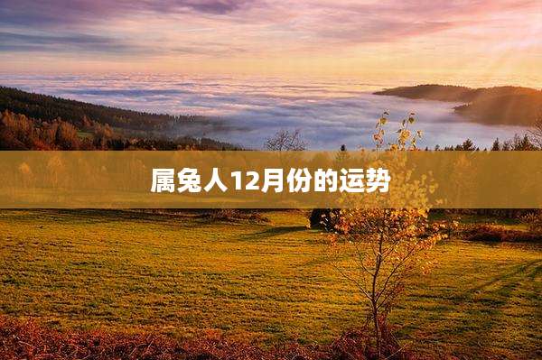 属兔人12月份的运势