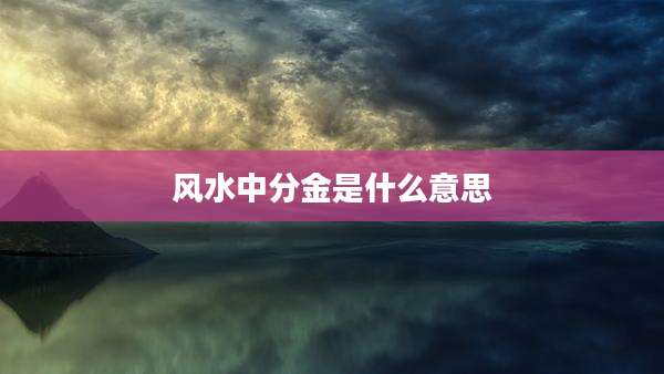 风水中分金是什么意思